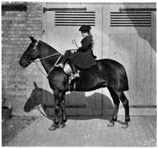 Child mounted on pony with riding dress with short skirt