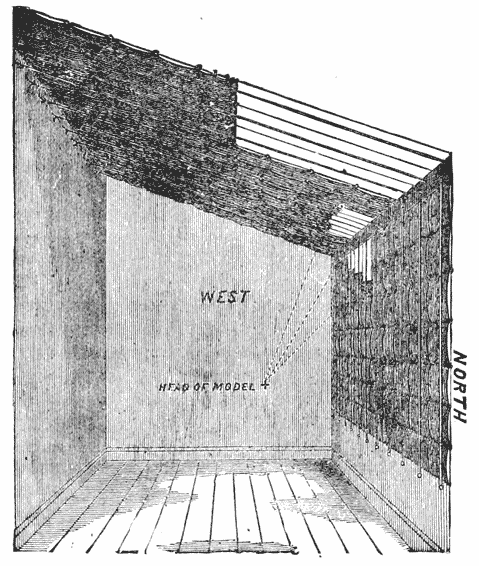 TN: Diagram of Loescher & Petsch