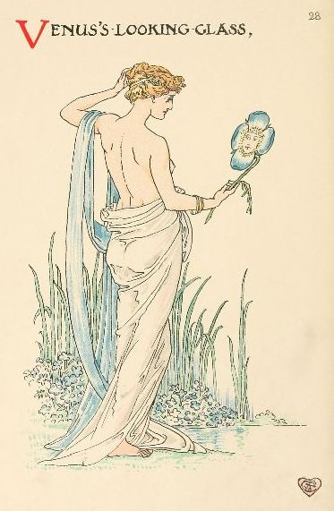 Venus holding blue flower like a looking-glass