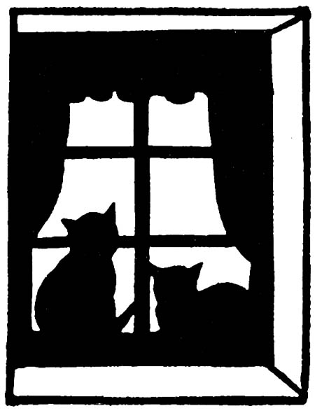 Cats watching the snowstorm through the window