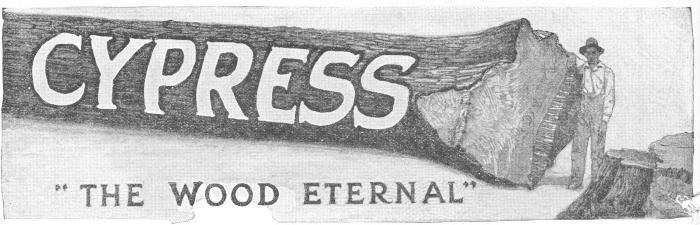 CYPRESS “THE WOOD ETERNAL”