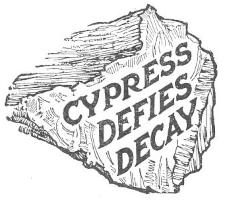 CYPRESS DEFIES DECAY