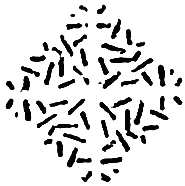 Logotipo del editor