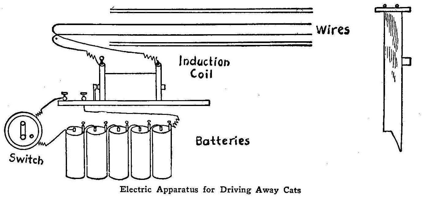 Electric Apparatus for Driving Away Cats