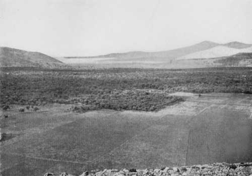 THE PLAIN BELOW DELPHI