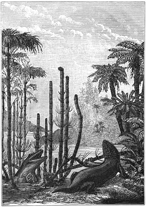 Fig. 188. De LABYRINTHODONTEN: Mastodontosaurus.