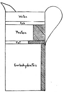 Fig. 19.