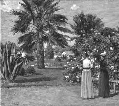 GARDEN SCENE, SANTA ANA.