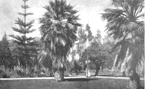 A TYPICAL GARDEN, NEAR SANTA ANA.