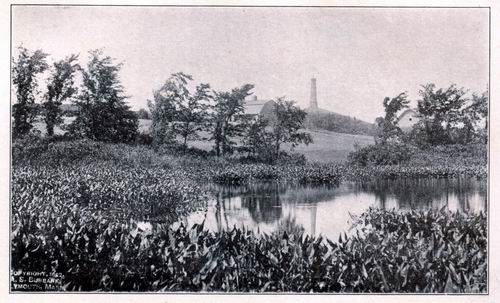 Captain's Hill from Marsh Margin