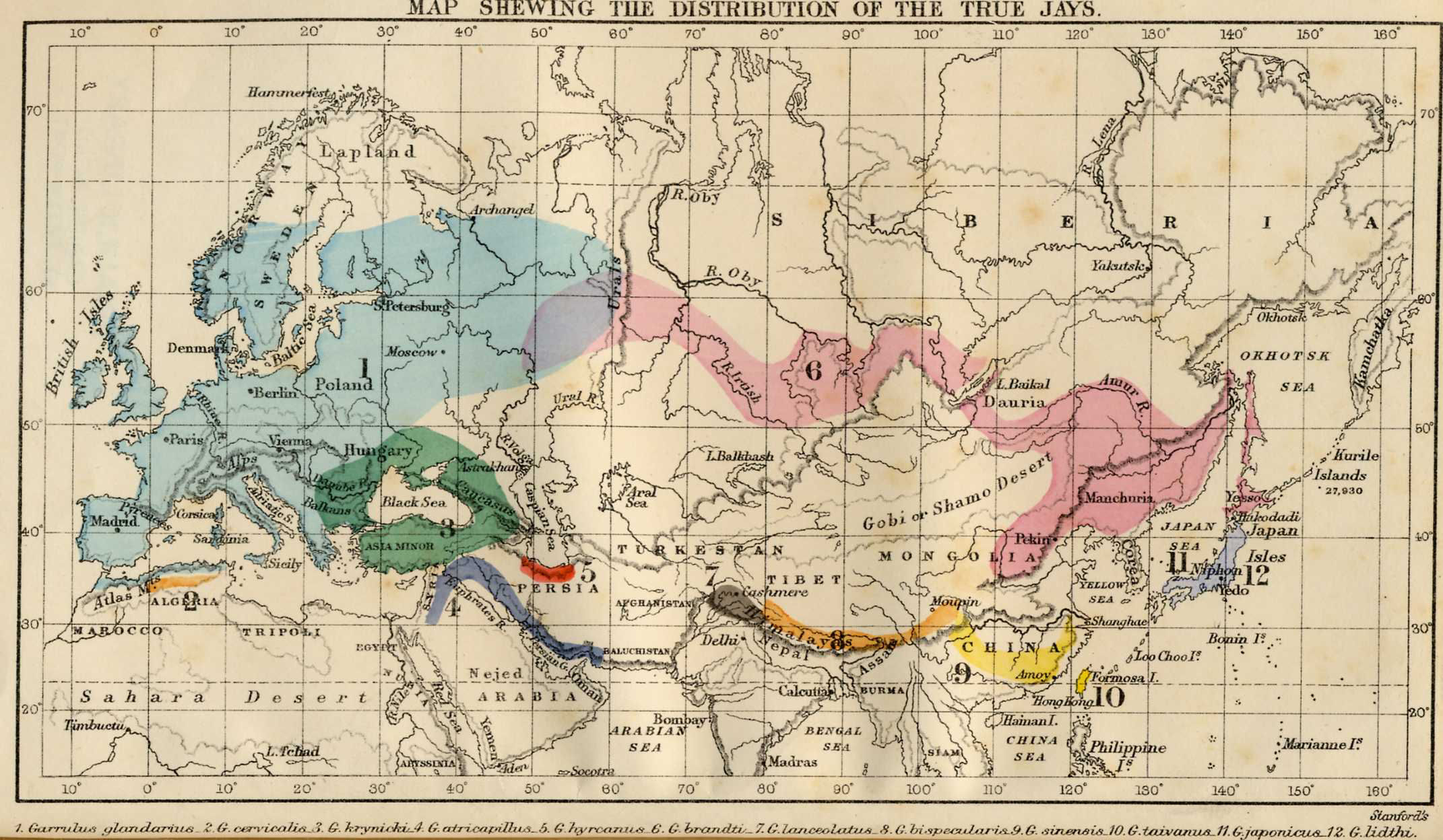 Map shewing the distribution of the true Jays