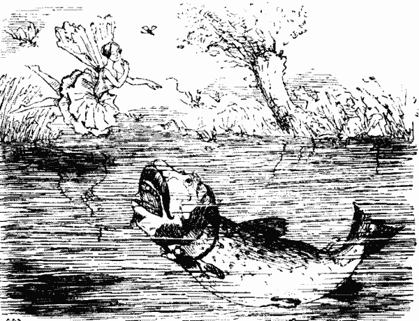 Cartoon fish