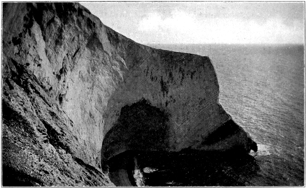 Scratchell's Bay Scratchell's Bay