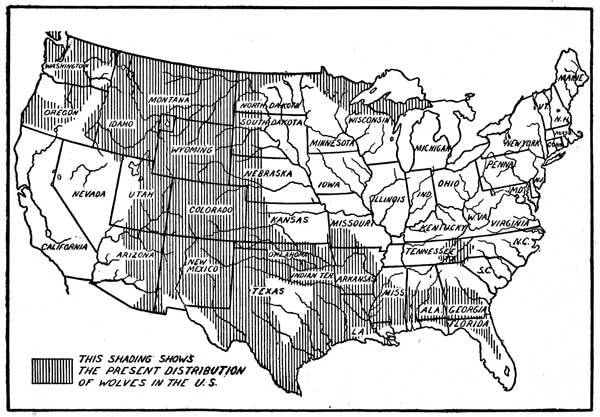 The Range of the Timber Wolf.