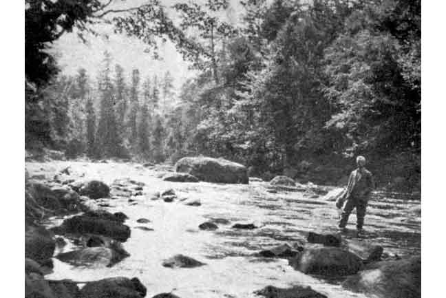 Wading Salmon River