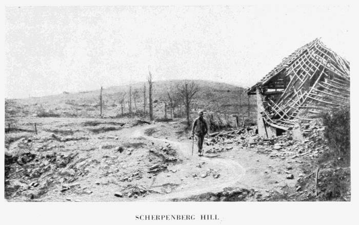 SCHERPENBERG HILL