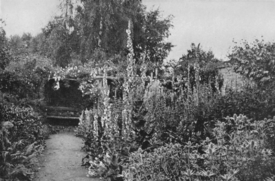 A Flower-border in June.