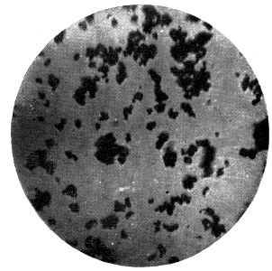 Carbonate-White Lead Transmitted