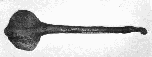 b. Heavy stone maul with handle attached. "Yankton Sioux. Fort Berthold. Drs. Gray and
Matthews, U. S. A." Extreme length about 2 feet 2 inches. (U.S.N.M. 6325)