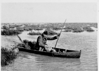 Gunning-punt in the Marisma.

(NOTE THE HALF-SUBMERGED SAMPHIRE-BUSHES.)