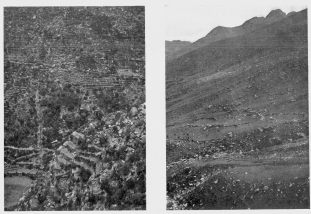 Fig. 30—Terraced hill slopes near Salamanca. There is no
part of the photograph which is not covered with terraces save a few
places where bushy growths are visible or where torrents descend through
artificial canals.