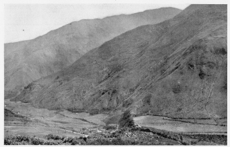 Fig. 46—Hacienda Huadquiña in the Salcantay Valley a
short distance above its junction with the Urubamba, elevation 8,000
feet (2,440 m.). The cultivated fields are all planted to sugar cane.
The mountain slopes are devoted to grazing.