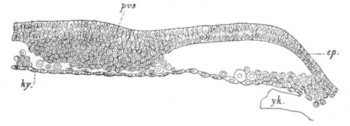 Illustration: Figure 95