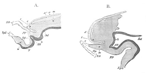 Illustration: Figure 123