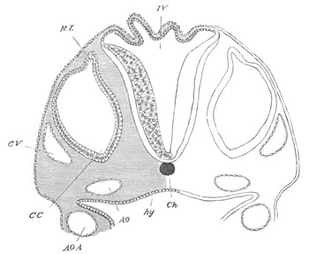 Illustration: Figure 249