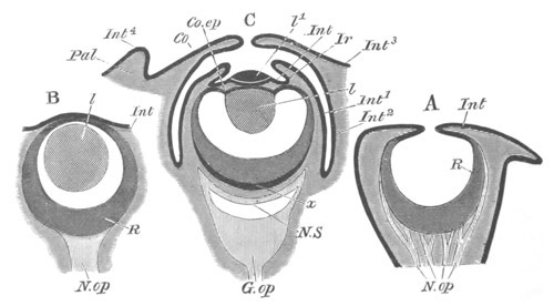 Illustration: Figure 277