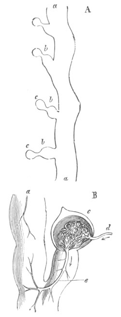 Illustration: Figure 394