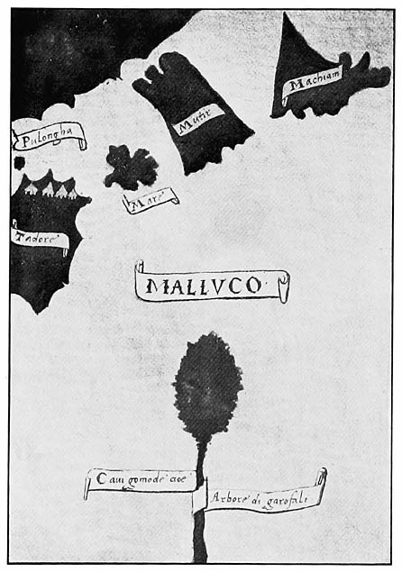 Pigafetta’s Chart of the Moluccas