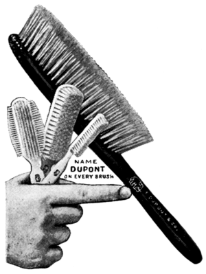 NAME, DUPONT, ON EVERY BRUSH