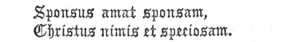 
Sponsus amat sponsam,

Christus nimis et speciosam.