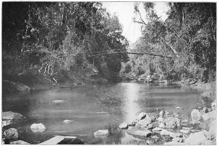 Cane Suspension Bridge.