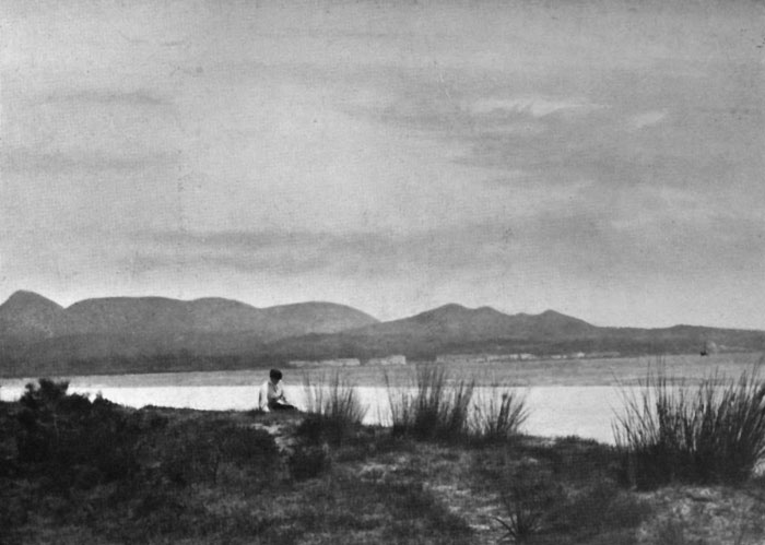 Bay of Alcúdia