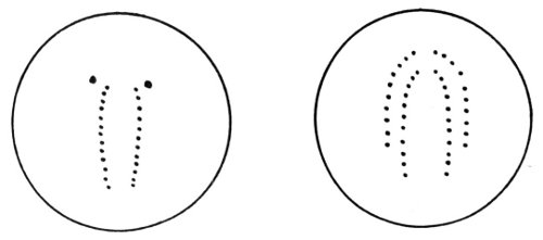 Snakebite patterns