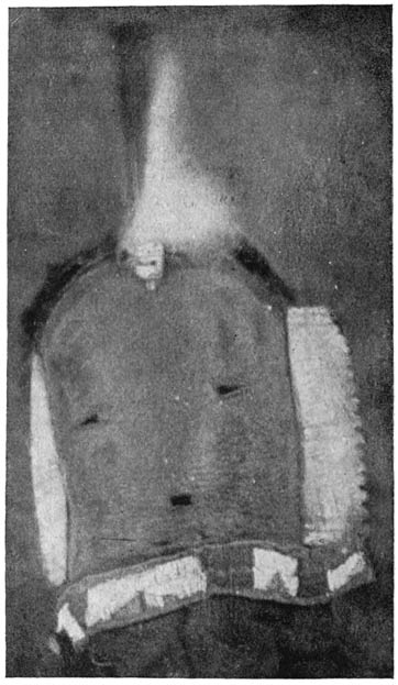 Fig. 28. Mask of yébaad or goddess.