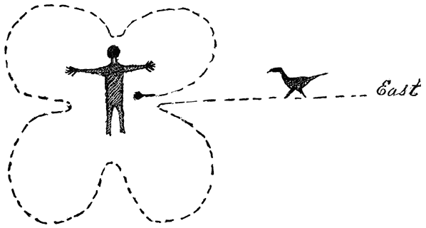 Fig. 34. Trail of turkey approaching his master.