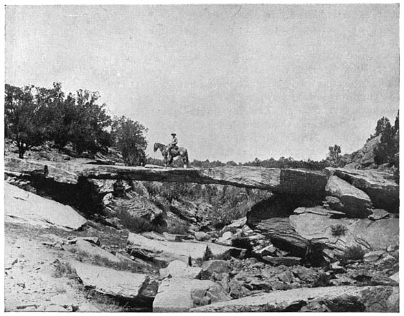 Fig. 38. Natural bridge, near Fort Defiance, Arizona.