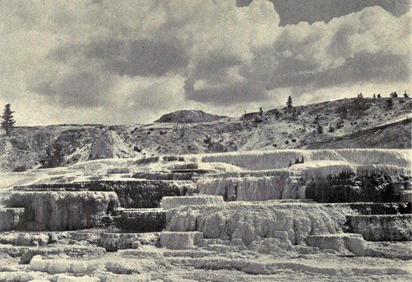 Minerva
Terrace, Mammoth Hot Springs, Yellowstone Park