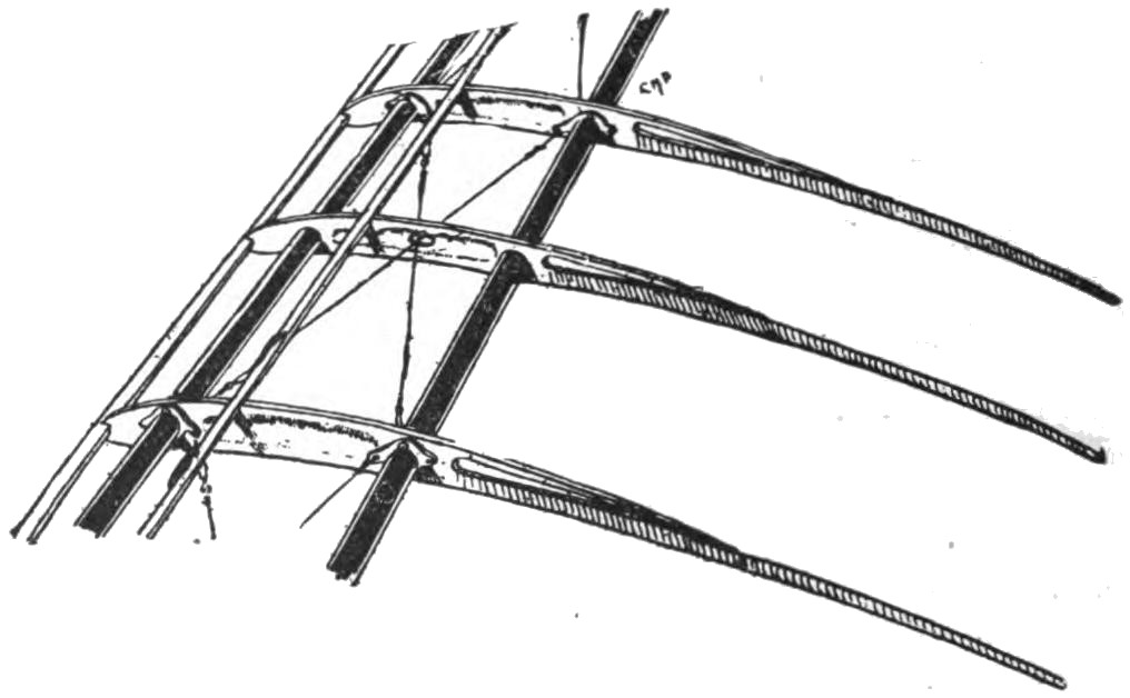 Fig. 6. Caudron Monoplane Wing with Steel Tube Spars and Flexible Trailing Edge.