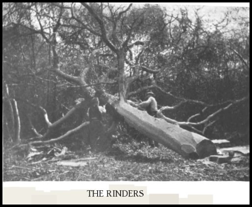 “The Rinders”