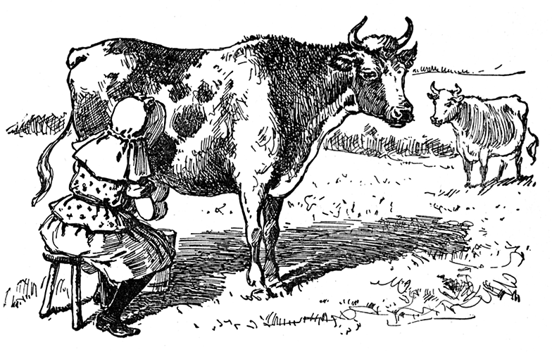 Nancy milking Molly in a field