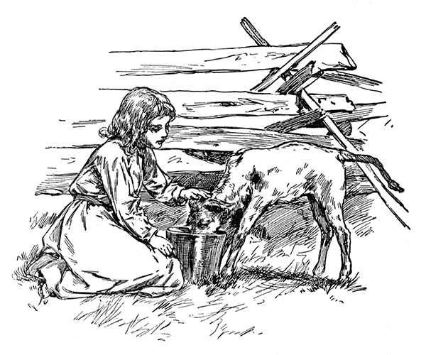 Em feeding the calf from a pail