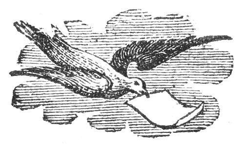 A swallow carrying a piece of paper