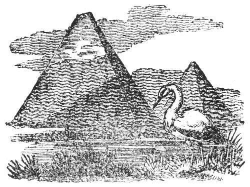 A stork on the opposite bank of a river from some pyramids