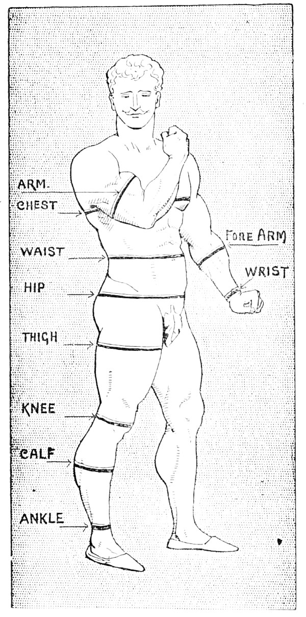 Figure labelled with above measurement positions