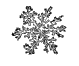 Snowflake (magnified three diameters)