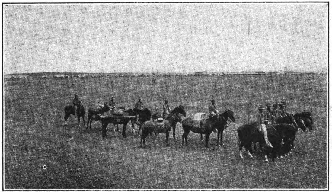 FIG. 107.—Company D Signal Corps at San Antonio Texas, 1911, showing pack sets and telescoping pole carried by pack mules.